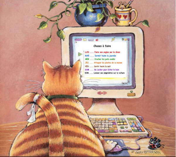 Choses a faire-humourenvrac